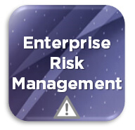 Enterprise Risk Management Icon INTERPROM