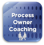 Process Owner Coaching