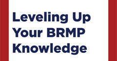 Leveling Up Your BRMP Knowledge training course