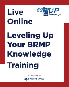 Leveling Up Your BRMP Knowledge training course
